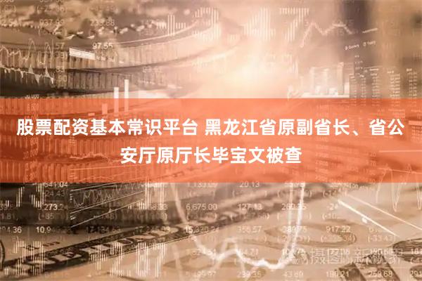 股票配资基本常识平台 黑龙江省原副省长、省公安厅原厅长毕宝文被查